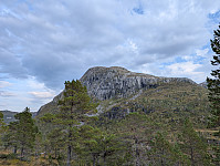 fredriks_20250108_677eef394c698.jpg