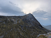 fredriks_20250108_677eef7a41348.jpg