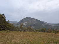 fredriks_20250108_677eef87761eb.jpg