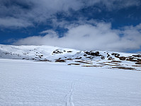 fredriks_20250423_6809114752bcf.jpg
