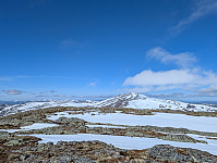 fredriks_20250423_6809114f0b49a.jpg