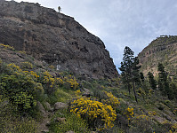 fredriks_20250423_68091f9a524a1.jpg