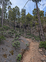 fredriks_20250423_68091fa7c127a.jpg