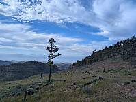 fredriks_20250423_68091fc07ccf2.jpg
