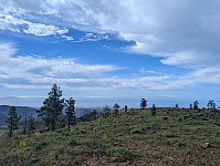 fredriks_20250423_68091fe0c26f0.jpg