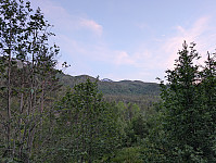 fredriks_20250616_685056a0ab211.jpg