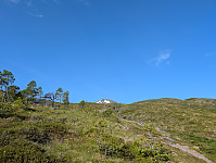 fredriks_20250616_685056a499ec8.jpg