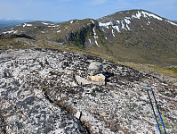 fredriks_20250616_685056add6387.jpg