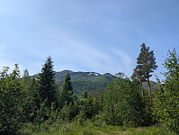 fredriks_20250616_685056b26fc9f.jpg