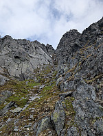 fredriks_20250721_687e20211d840.jpg