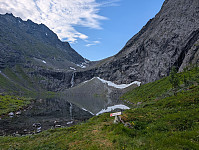 fredriks_20250721_687e2a5909b81.jpg