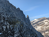 fredriks_20250721_687e2a63c295b.jpg