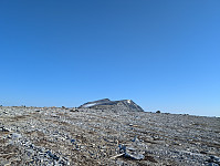fredriks_20250726_688486e5404f9.jpg