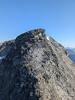 fredriks_20250726_688486e6748da.jpg