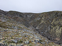 fredriks_20250824_68ab4e4e1a648.jpg