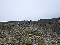 fredriks_20250824_68ab4e4f6f582.jpg