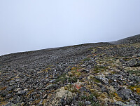 fredriks_20250824_68ab4e509d519.jpg