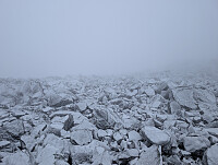 fredriks_20250824_68ab4e54a88ec.jpg