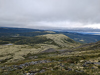 fredriks_20250824_68ab4e56d11ea.jpg