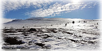 Niniane_20220525_628e548b3ca20.jpg