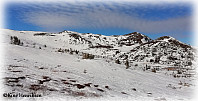 Niniane_20220525_628e548f0321c.jpg