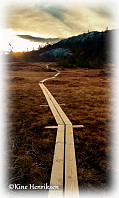 Niniane_20220604_629b3c04da11e.jpg