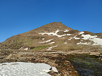 Sosnovsky_20210716_60f11fbb611da.jpg