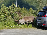 Sosnovsky_20210802_610825091beec.jpg