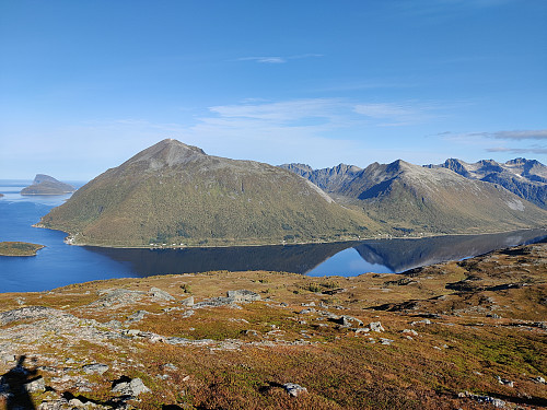 Vasstinden