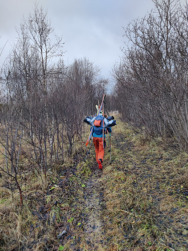 Vi gikk opp med ski på sekken de første omtrent 500 moh