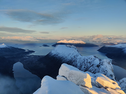Vengsøya