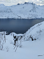 Sosnovsky_20220319_6235ceb8d6952.jpg