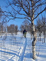 Sosnovsky_20230311_640c570344c8c.jpg