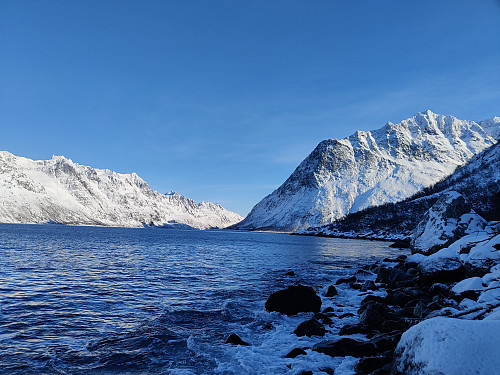 Ned til fjorden
