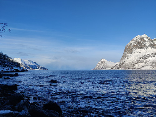 Ned til fjorden