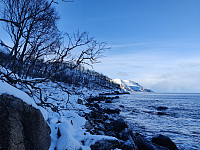 Sosnovsky_20230311_640c572772ac0.jpg