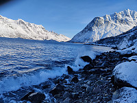 Sosnovsky_20230311_640c5729cad31.jpg