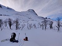 Sosnovsky_20230316_6412a45a291ec.jpg
