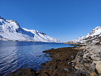 Sosnovsky_20230427_644a223ea443b.jpg