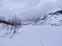 Sosnovsky_20230523_646d005722607.jpg
