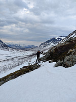 Sosnovsky_20230603_647b4dc696efa.jpg