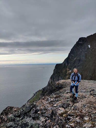 På Brosmetind