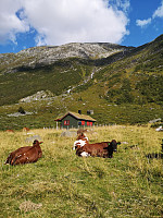 sveinaage_20210828_612a423999d3c.jpg