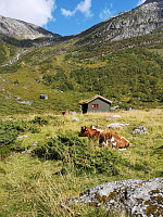sveinaage_20210828_612a423a3b8f6.jpg