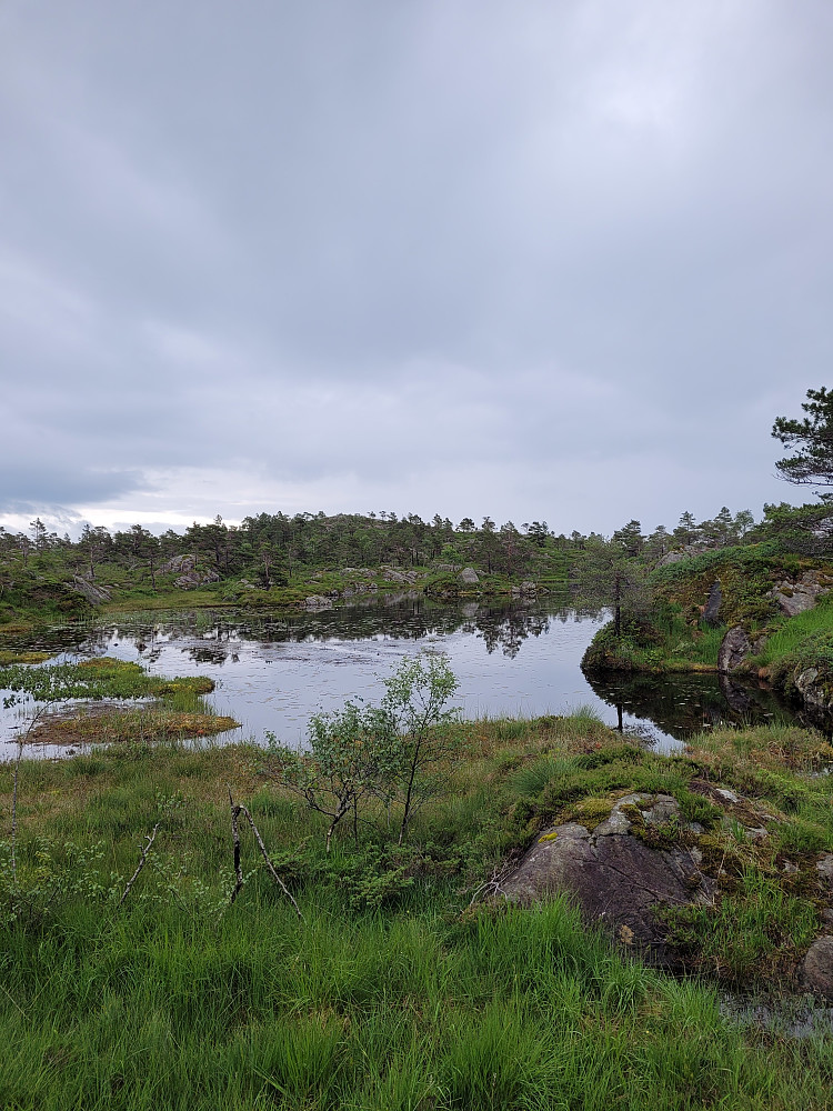 Idyllisk vann på vei bort til Borgafjellet.