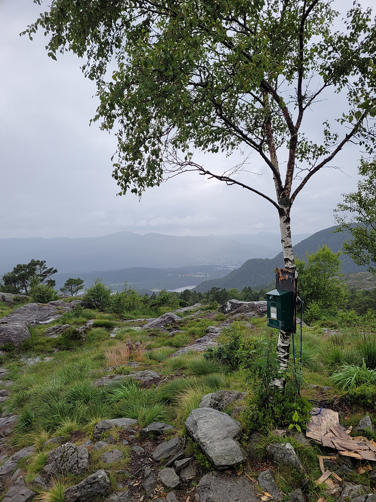 På Borgafjellet.