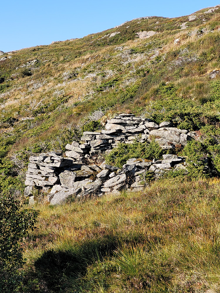 Ruin rett nord for varden på Ulskebjørnen