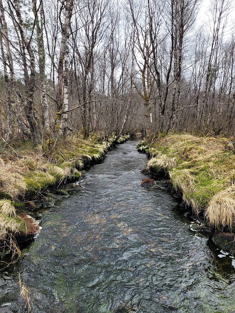 Liten elv mellom Ullbergvatnet og Spåkevatnet