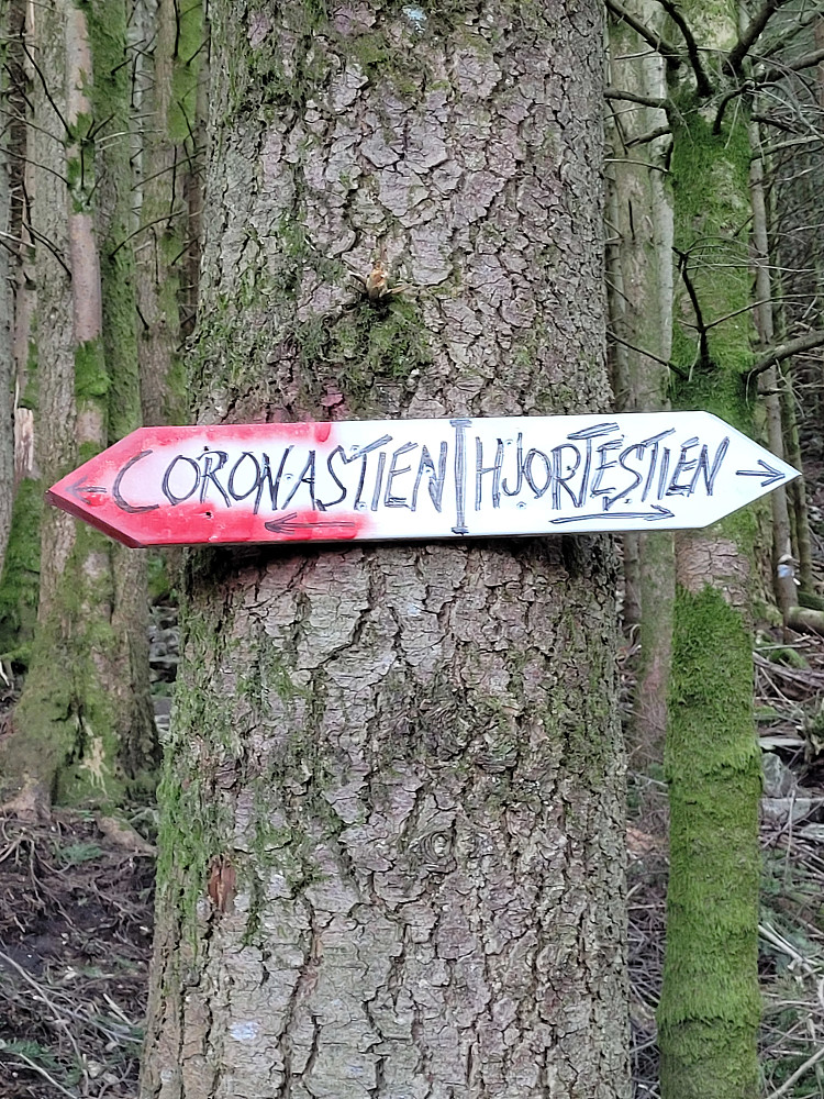 Tidlig valg i skogen mellom Coronastien og Hjortestien.