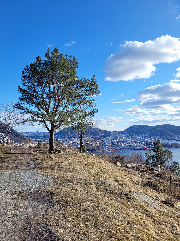 Utsikt mot byen fra Sandviksbatteriet.